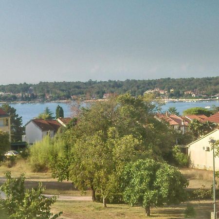 Appartement Delfin à Novigrad Istria Extérieur photo