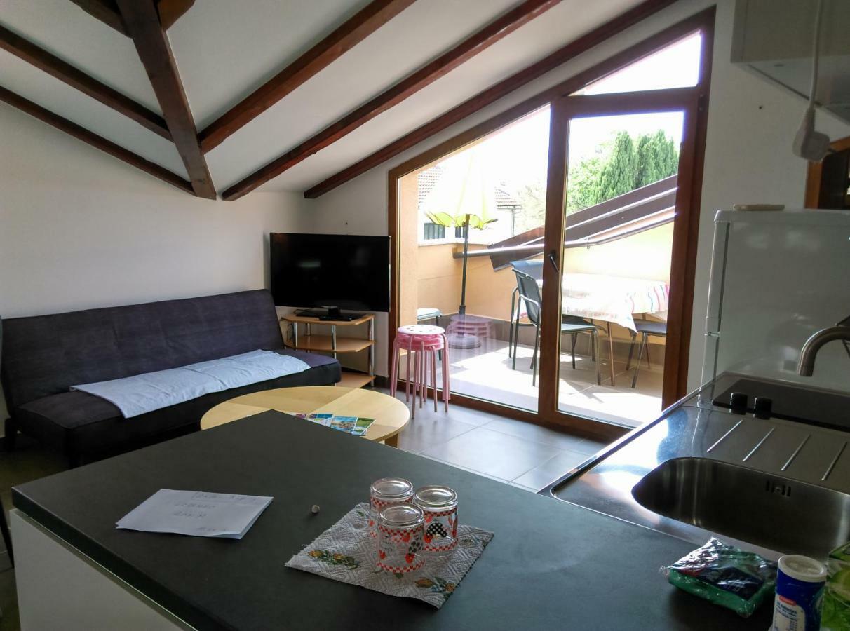 Appartement Delfin à Novigrad Istria Extérieur photo