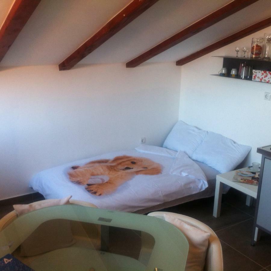 Appartement Delfin à Novigrad Istria Extérieur photo