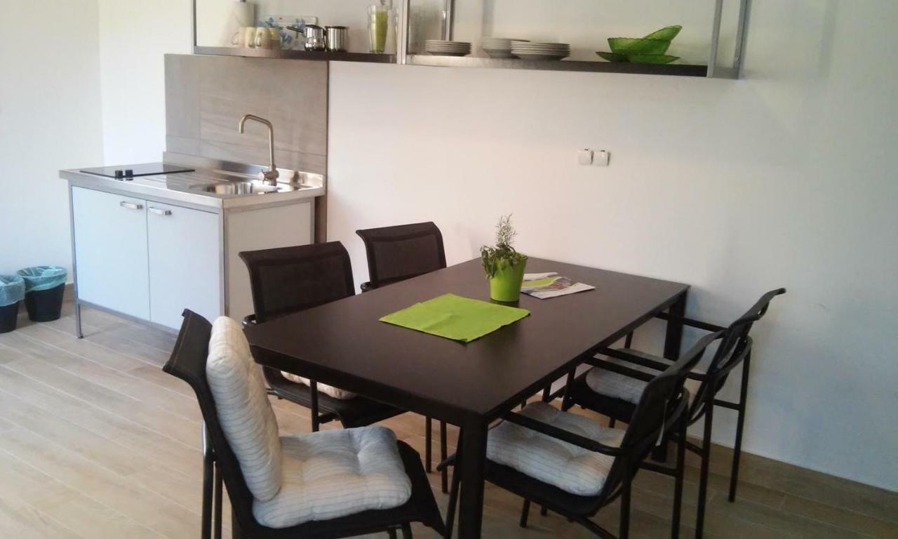 Appartement Delfin à Novigrad Istria Extérieur photo